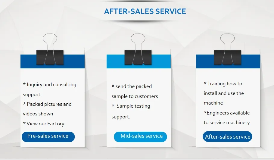 Biscuits/Cookies/Noodles/Vegetables/Fry Fruit/Burger/Muffin/Cake/Food/Horizontal Flowpack Packaging Machine