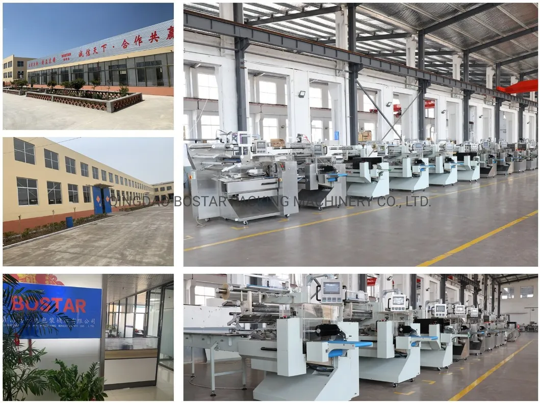 Biscuits/Cookies/Noodles/Vegetables/Fry Fruit/Burger/Muffin/Cake/Food/Horizontal Flowpack Packaging Machine