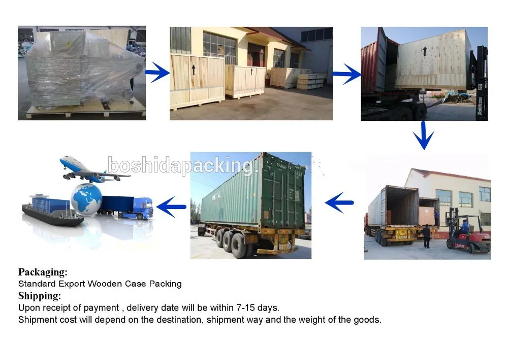 Biscuits/Cookies/Noodles/Vegetables/Fry Fruit/Burger/Muffin/Cake/Food/Horizontal Flowpack Packaging Machine