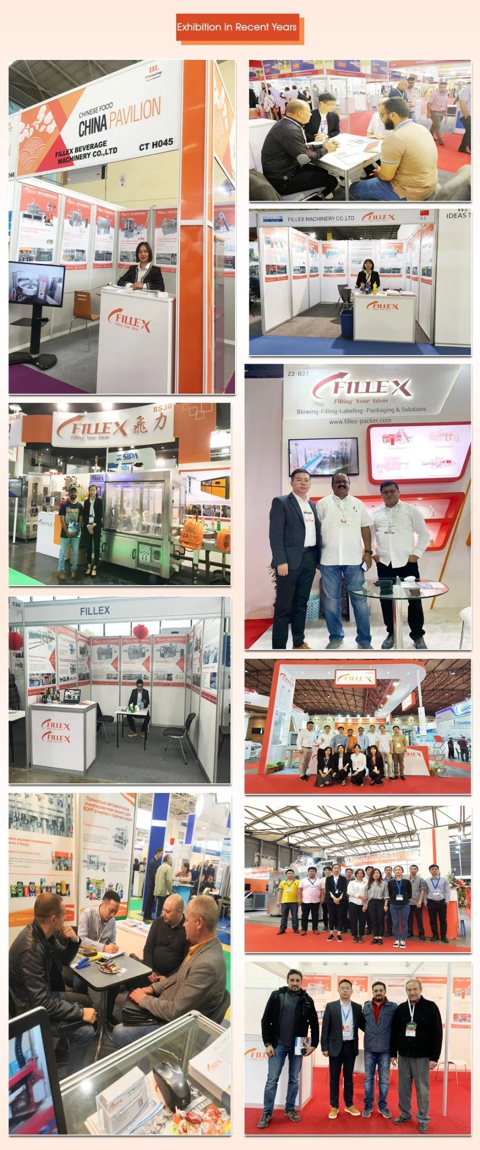 Hand-Feeding Automatic Pet Stretch Blow Molding Machine/Equipment/System