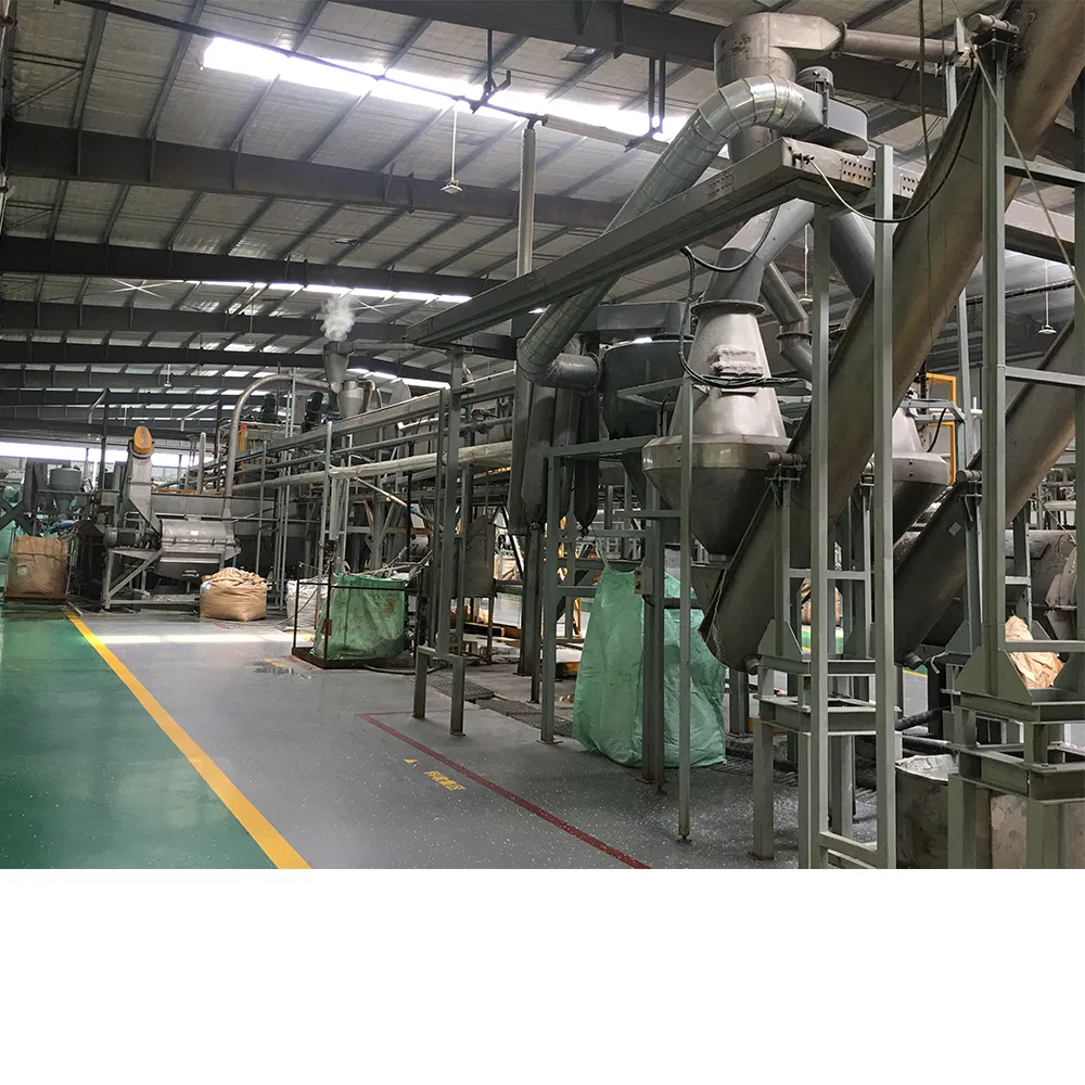 TL5000 PET Flakes Cleaning Recycling Line